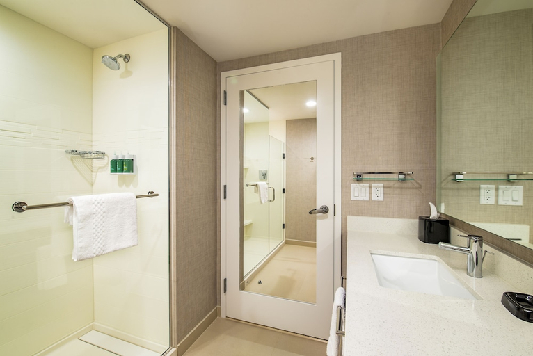 Bathroom, Residence Inn Houston Medical Center/Nrg Park, Houston