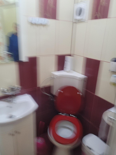 Bathroom 2, Casa Ovi si Simo, Hateg