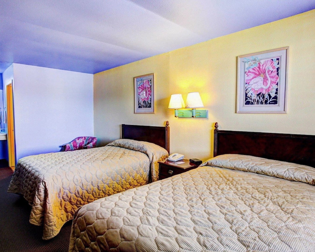 Bedroom 5, Nites Inn, Bell