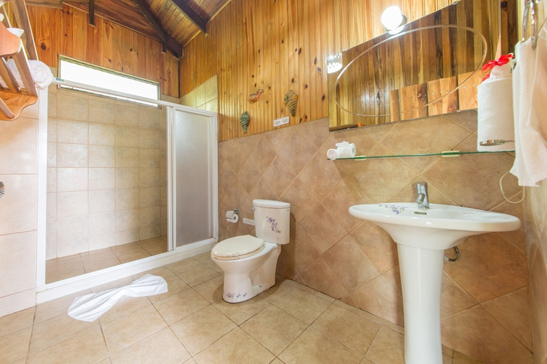 Bathroom 4, Hotel Kokoro Mineral Hot Springs, San Carlos
