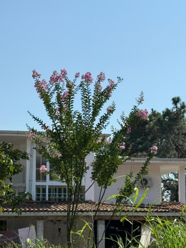 Exterior & Views 1, Guest House Shekvetili, Ozurgeti