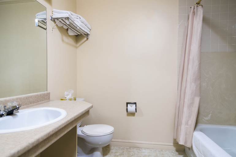 Bathroom 4, Mount Peyton Resort and Conference Centre, Division No. 6