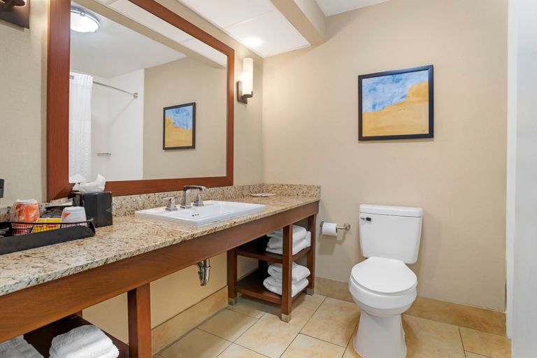 Bathroom 5, Comfort Suites Gastonia, Gaston
