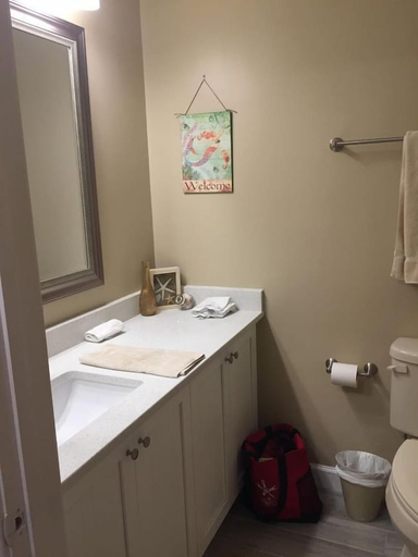 Bathroom 4, Ocean Gate at Hibiscus Resort, Saint Johns