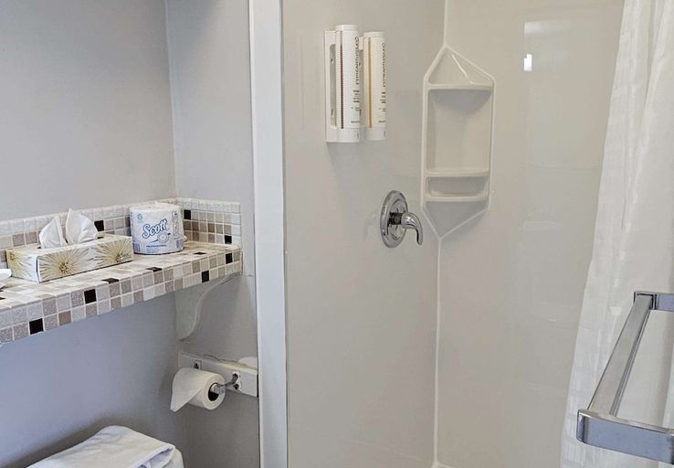 Bathroom 4, 2400 Motel, Greater Vancouver