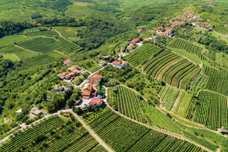 Aerial view 3, Neda Apt Top Floor: Terrace Views in Goriska Brda, Brda