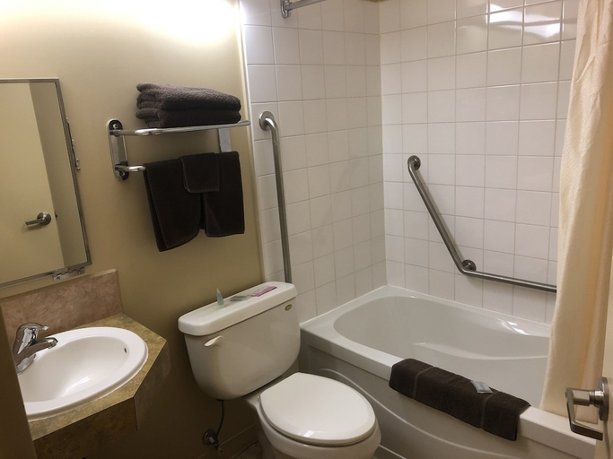 Bathroom, Econo Lodge Inn & Suites, Division No. 8