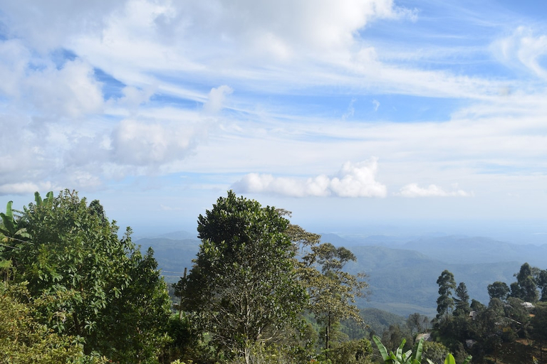 Others 5, Southern View Holiday Resort, Haputale
