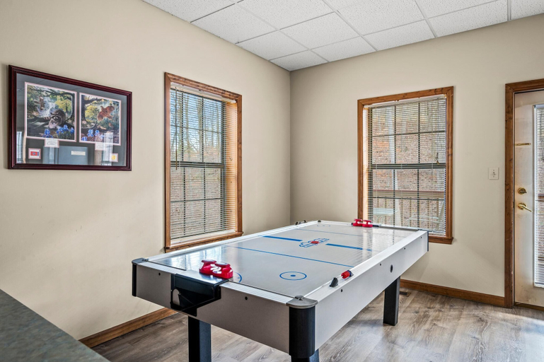Game room 5, Lazy Dayz, Sevier