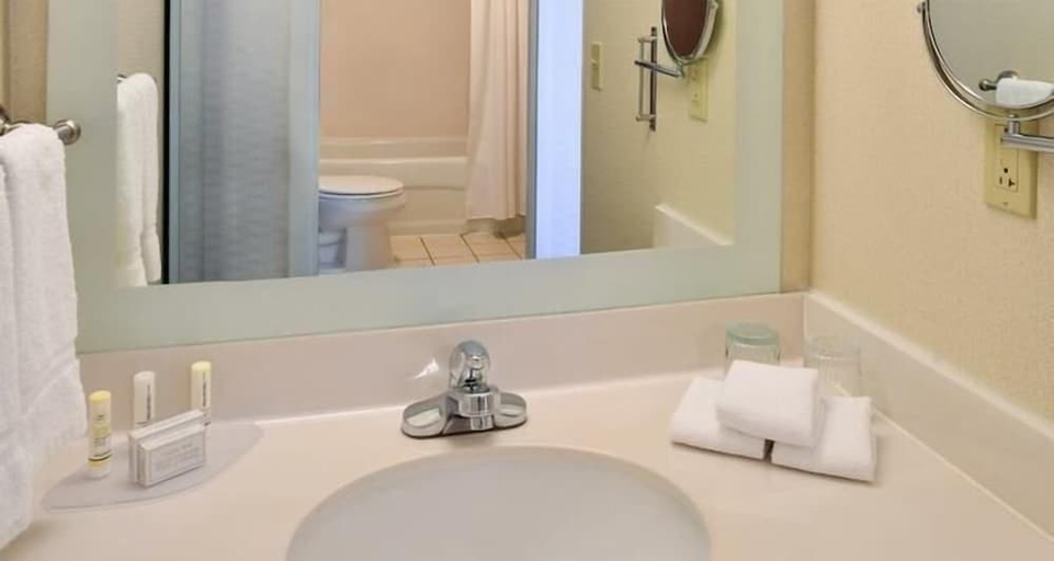 Bathroom, Kings Inn & Suites Mason, Warren