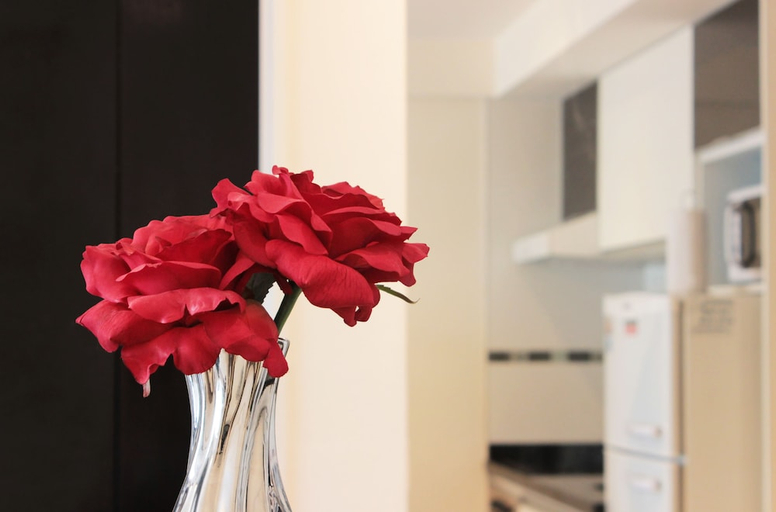 Others 5, Hotel Master Suite Devoto, Distrito Federal