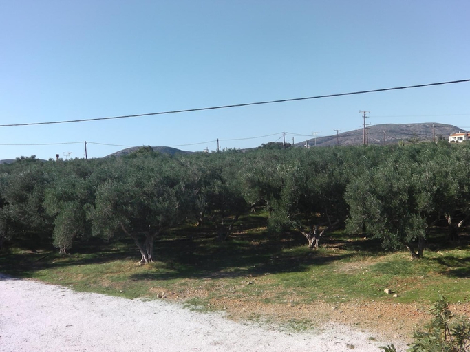 Others 5, Iris Apartments And Rooms, Crete