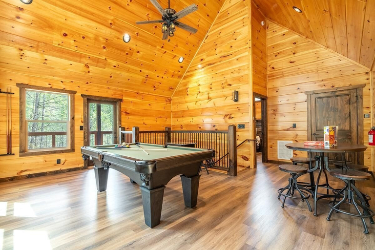 Game room 3, Hawks Nest, Sevier