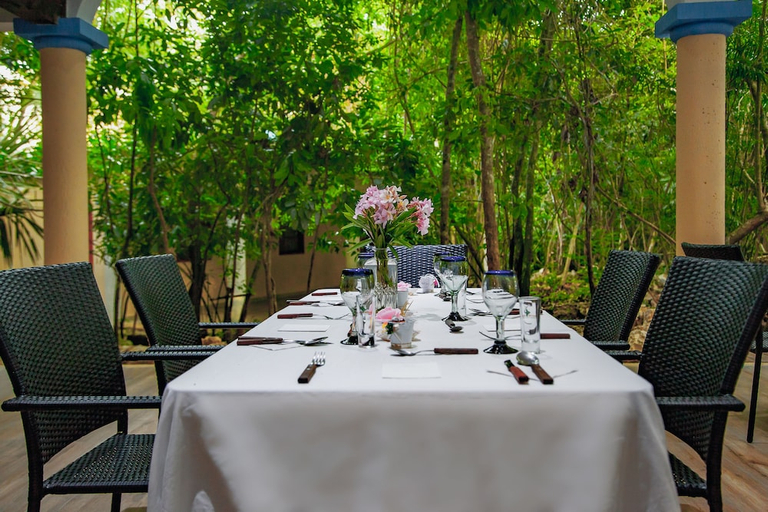 Food & Drinks, Reserva Ecologica Hacienda Cancun, Benito Juárez