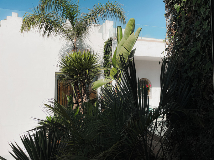 Exterior & Views 2, Riad Zyo, Rabat