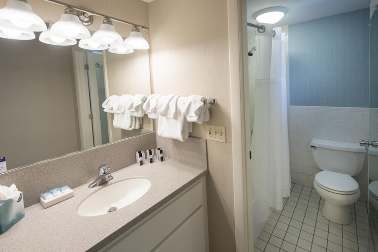 Bathroom 5, Blue Rock Resort, Barnstable