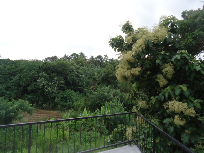 Others 5, Flower Seven Hotel, N. Palatha East