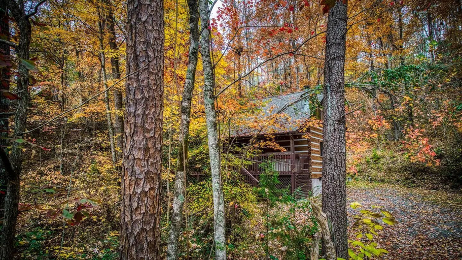 Exterior 4, Bearly Livin', Sevier