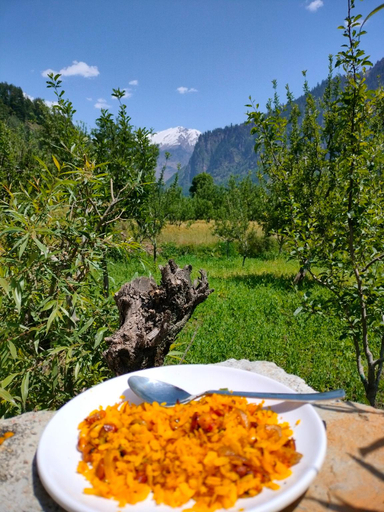 Others 4, The Wanderlust Hotel, Kullu