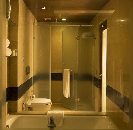 Bathroom 5, Cabbana Orchid, Kapurthala