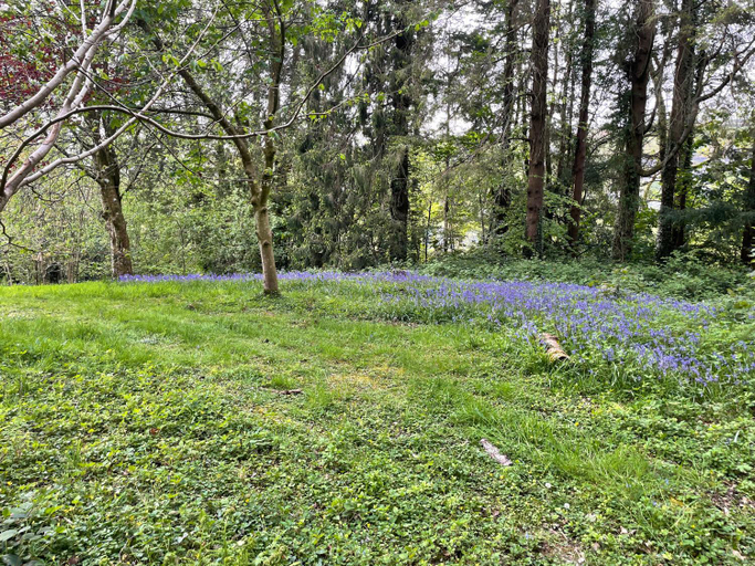 Others 4, Honey Bee Cabin, Ceredigion
