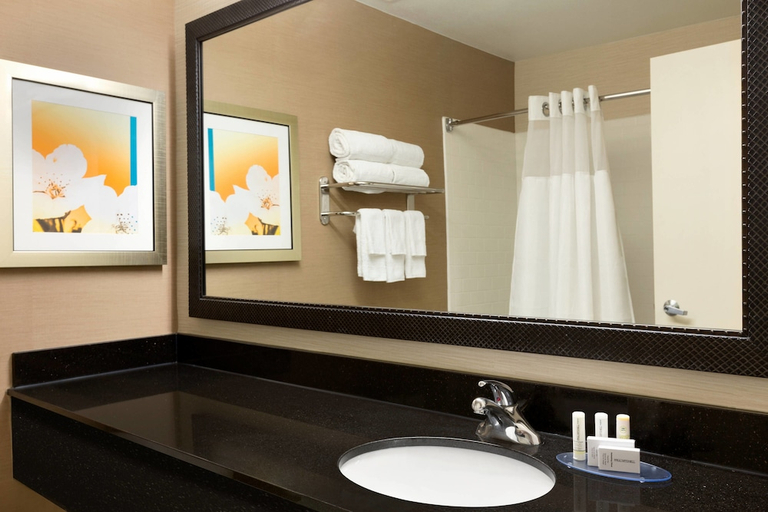 Bathroom, Fairfield Inn & Suites Dallas Mesquite, Dallas