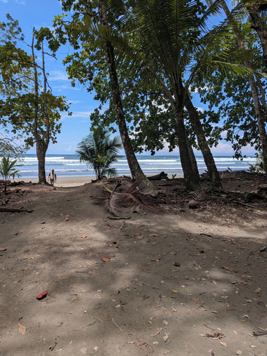 Beach, New Cozy Private Home Near all Beaches, Osa
