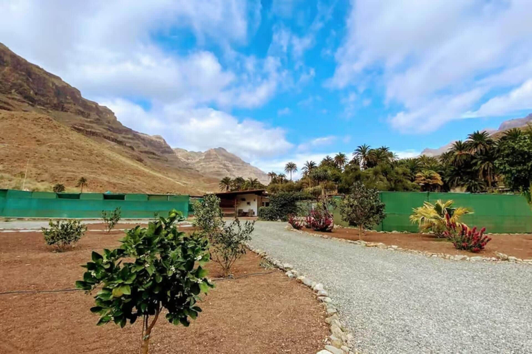 Property grounds 2, Renovated Tiny House, Las Palmas