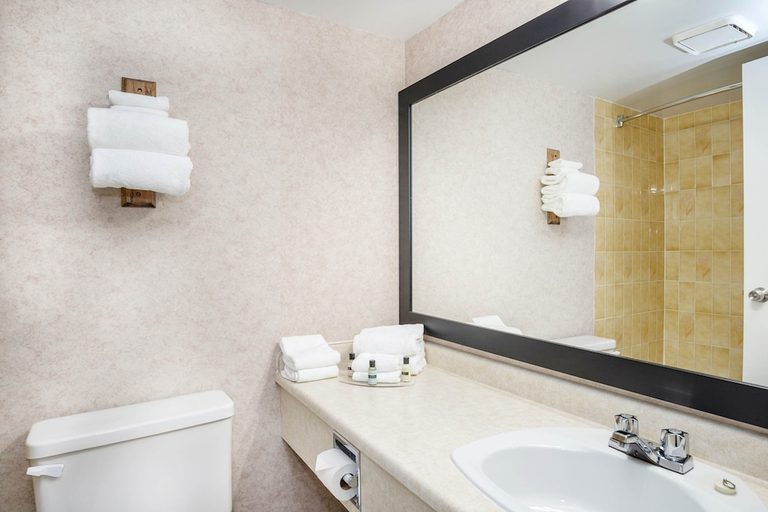Bathroom 4, Sandman Hotel Castlegar, Central Kootenay