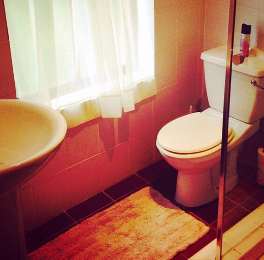 Bathroom 3, Magnolia Place Guest House, Cape Winelands