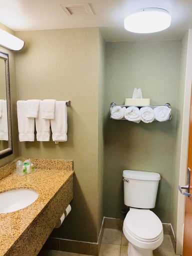 Bathroom, Holiday Inn Memphis University of Memphis, Shelby