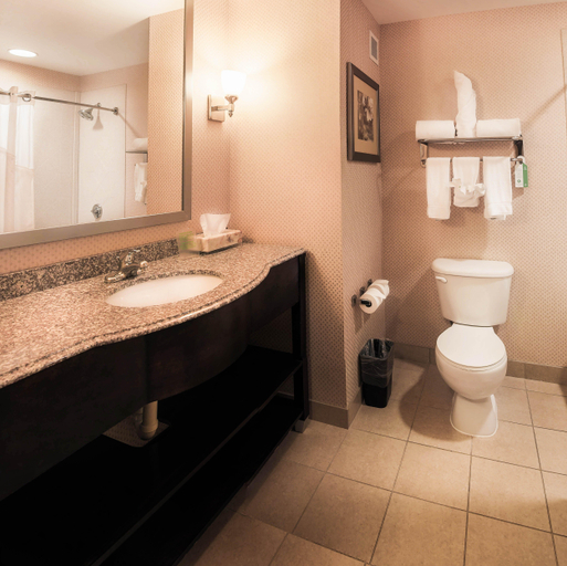 Bathroom 3, Baltimore Downtown Hotel, Baltimore