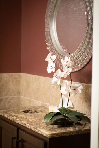 Bathroom 3, Monument Inn & Suites, Scotts Bluff