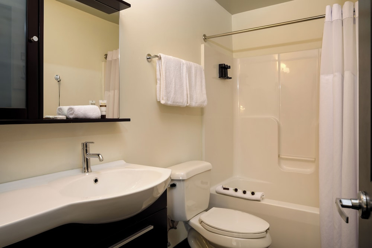 Bathroom 3, Hotel Clemons, Hamilton