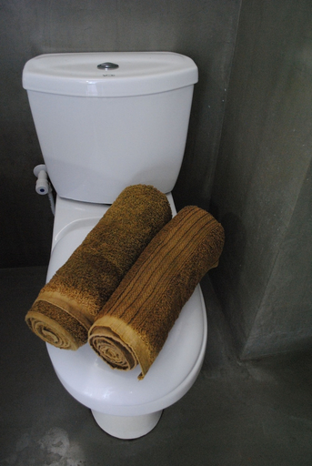 Bathroom, Dsk Apartment, Galle Four Gravets