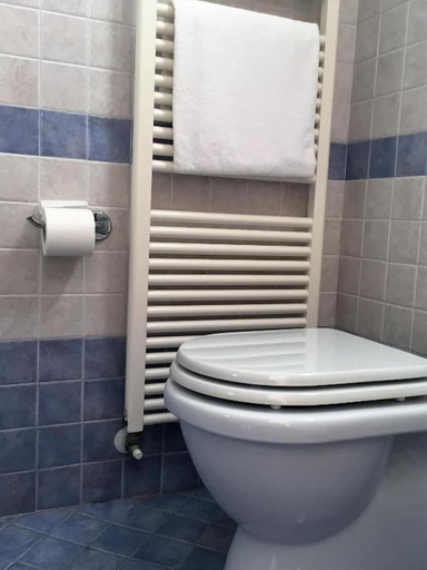 Bathroom 4, Rubicone Hotel, Forli' - Cesena