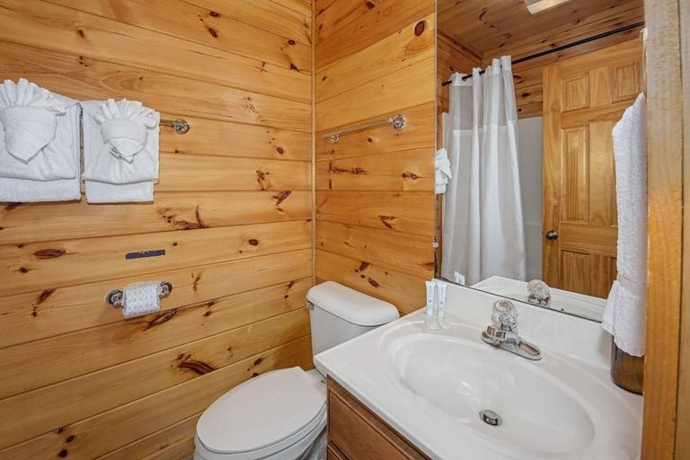 Bathroom 2, Grizzly Grotto, Sevier