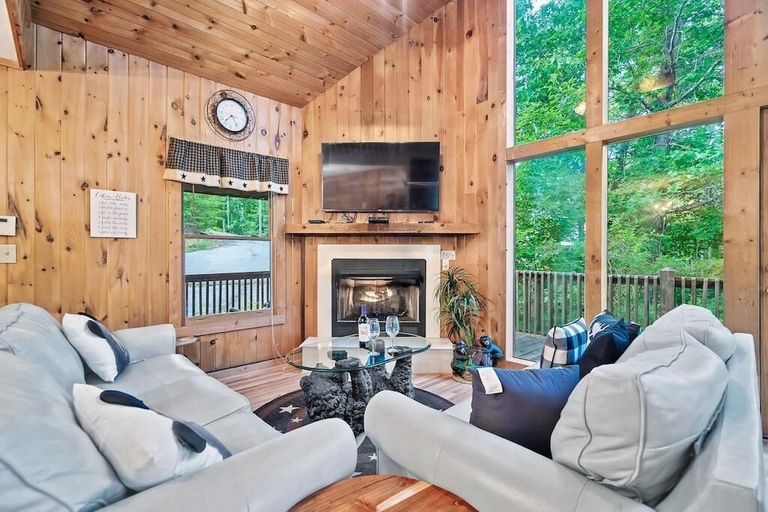 Living area 2, Knotty Nice, Sevier
