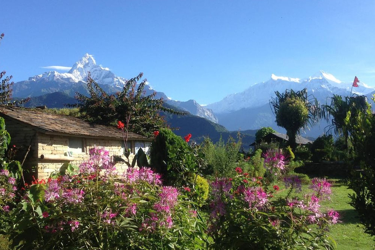 Others 3, Annapurna Eco Village, Gandaki