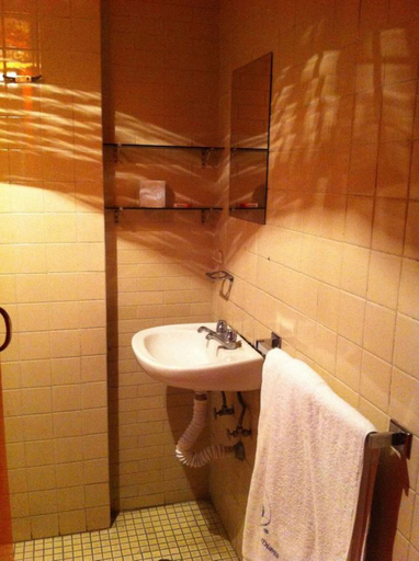 Bathroom 2, Hotel Centro Diana, Mexico City