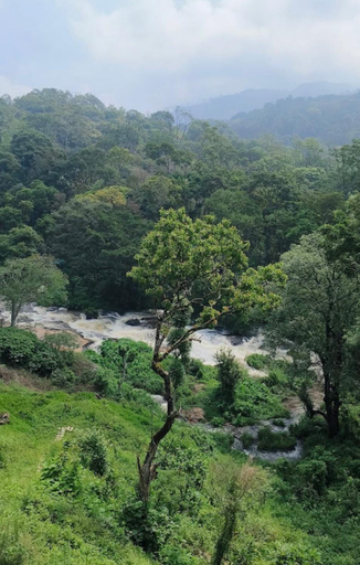 Others 3, Munnar Gate Residency, Idukki