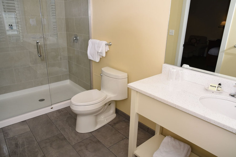Bathroom 4, Publick House Historic Inn, Worcester