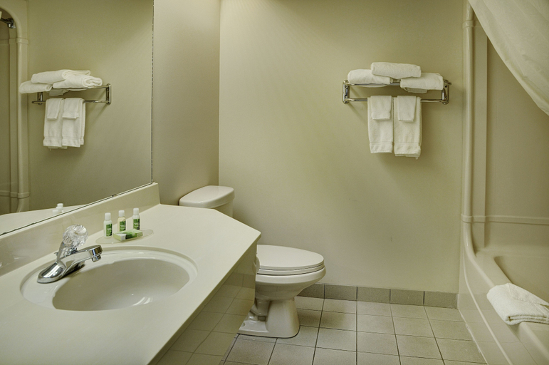 Bathroom 4, Lakeview Inns & Suites - Brandon, Division No. 7