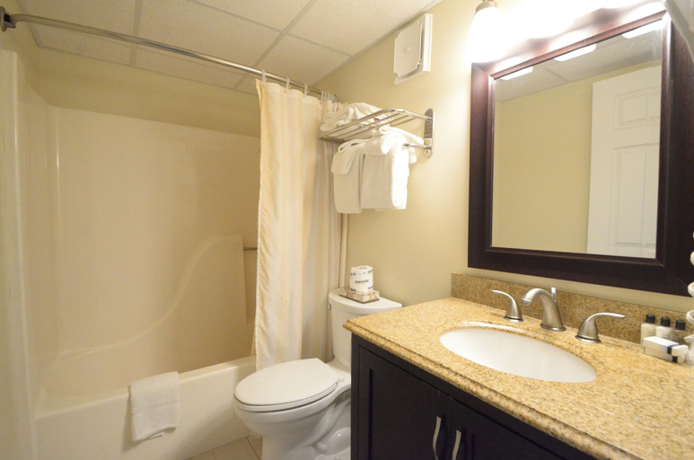 Bathroom 4, Coastal Palms Inn & Suites, Worcester
