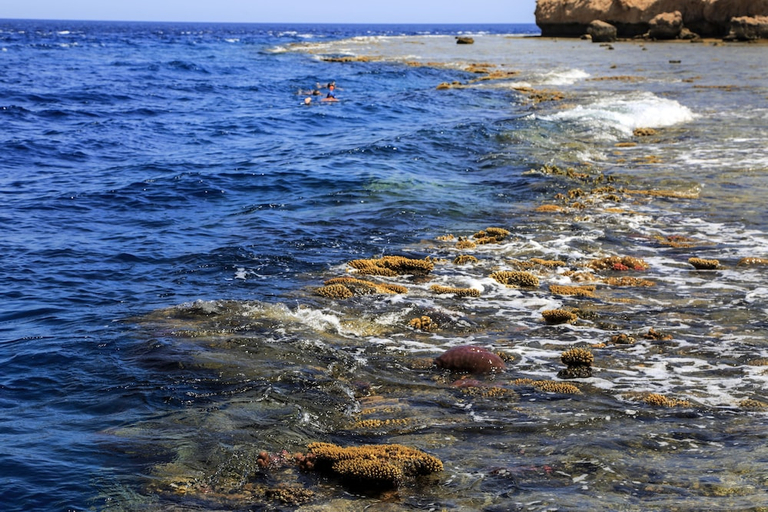 Others 5, Labranda Sharm Club, Sharm el-Sheikh