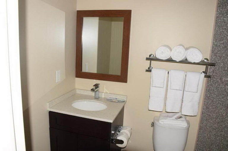 Bathroom 5, FairBridge Inn Express Merrillville, Lake