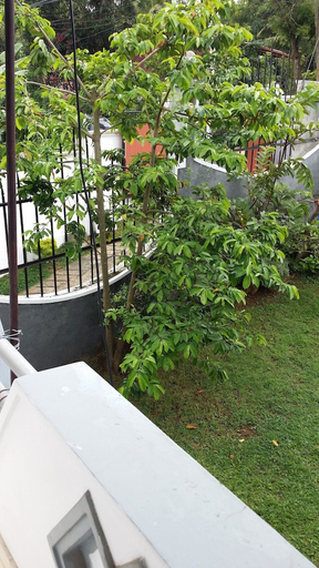 Others 5, Village Villa Home Stay, Kundasale