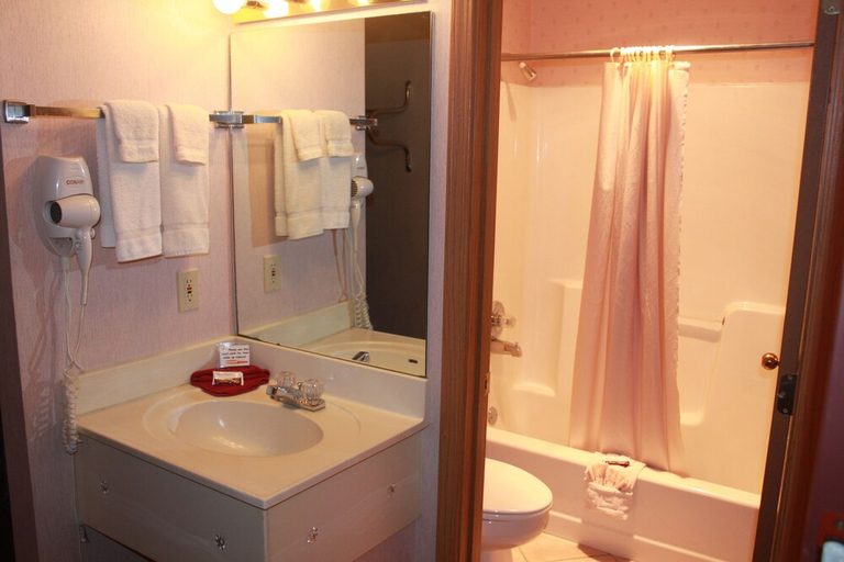 Bathroom 3, Ozark Valley Inn, Taney