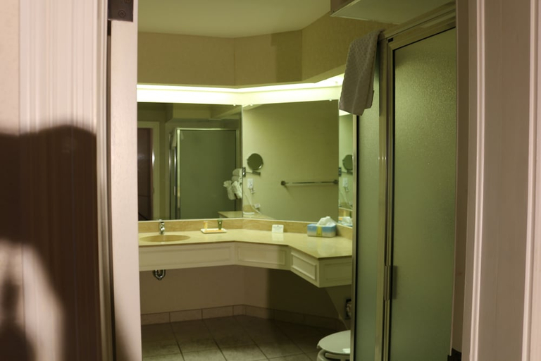 Bathroom 3, Imperial Swan Hotel Suites, Polk