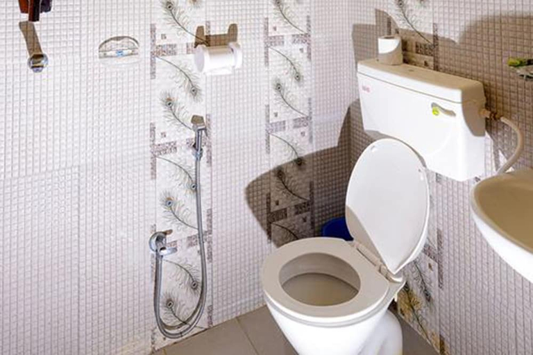 Bathroom 3, Hotel Nature Heritage, Narayani